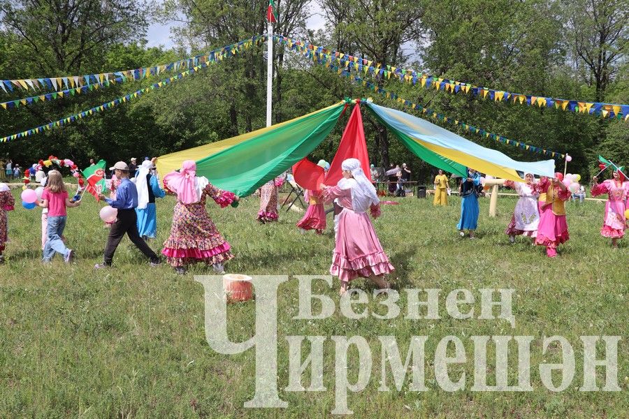 На Сабантуе в Верхней Каменке были и скачки (ФОТОРЕПОРТАЖ)