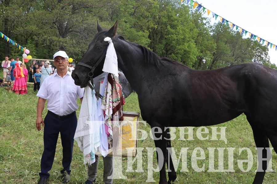 На Сабантуе в Верхней Каменке были и скачки (ФОТОРЕПОРТАЖ)