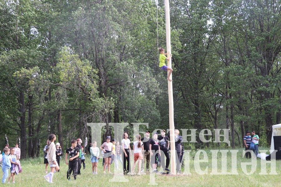 На Сабантуе в Подлесном Утямыше чествовали и ветеранов (ФОТОРЕПОРТАЖ)