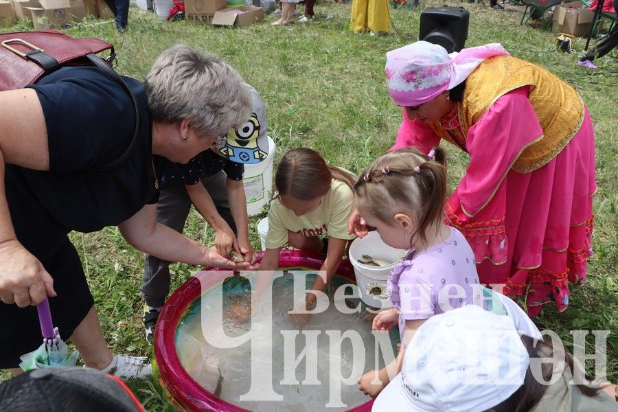 На Сабантуе в Верхней Каменке были и скачки (ФОТОРЕПОРТАЖ)