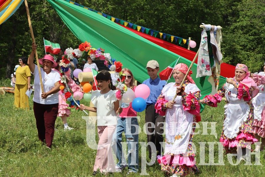 На Сабантуе в Верхней Каменке были и скачки (ФОТОРЕПОРТАЖ)