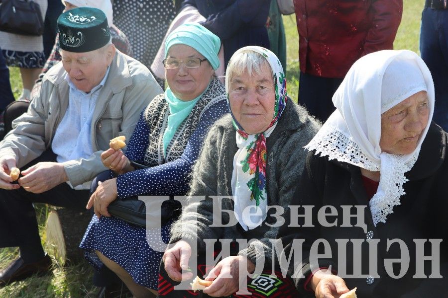 На Сабантуе в Подлесном Утямыше чествовали и ветеранов (ФОТОРЕПОРТАЖ)