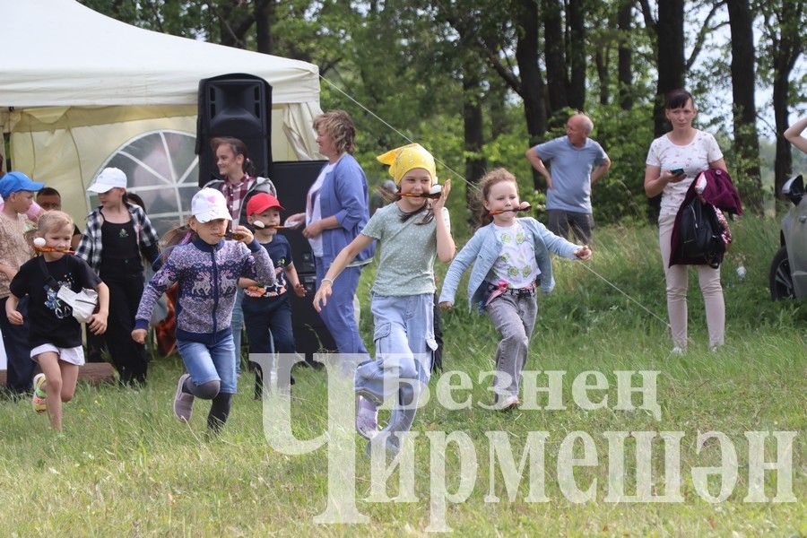 На Сабантуе в Подлесном Утямыше чествовали и ветеранов (ФОТОРЕПОРТАЖ)