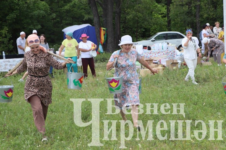 На Сабантуе в Верхней Каменке были и скачки (ФОТОРЕПОРТАЖ)