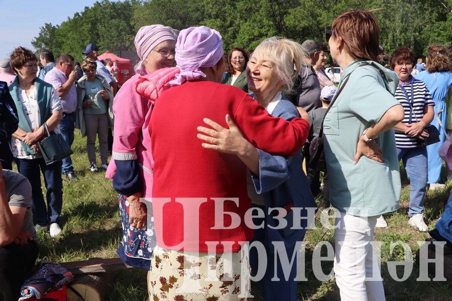 На Сабантуе в Подлесном Утямыше чествовали и ветеранов (ФОТОРЕПОРТАЖ)