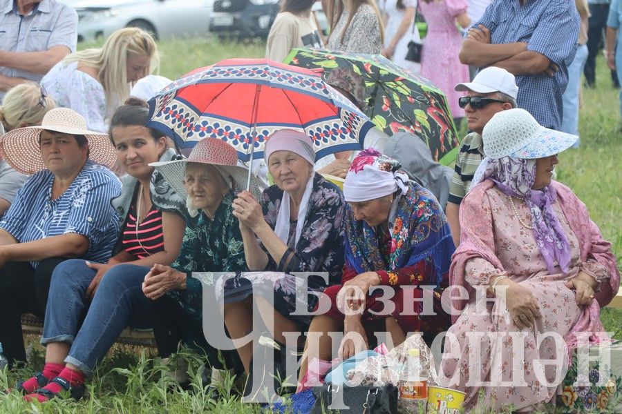 На Сабантуе в Верхней Каменке были и скачки (ФОТОРЕПОРТАЖ)