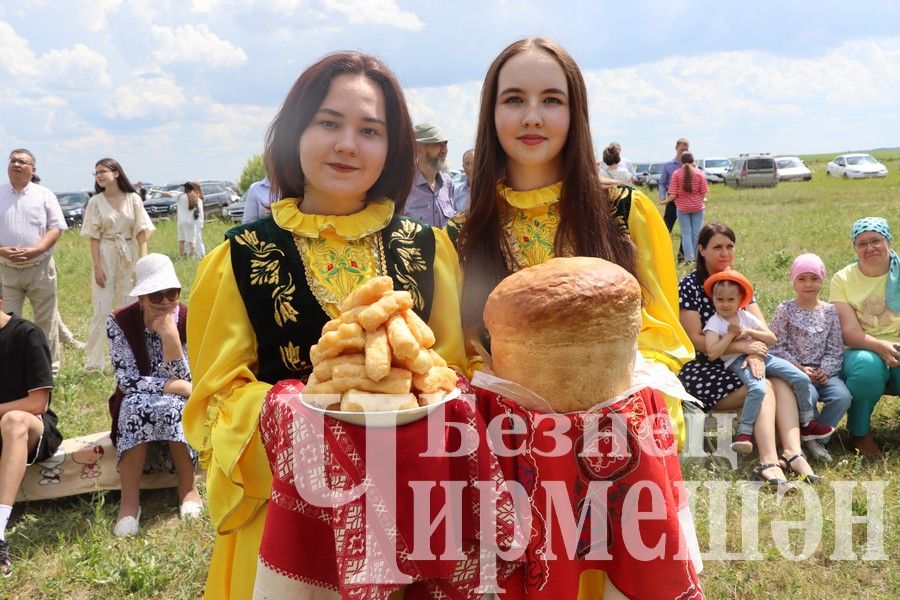 На Сабантуе в Верхней Каменке были и скачки (ФОТОРЕПОРТАЖ)