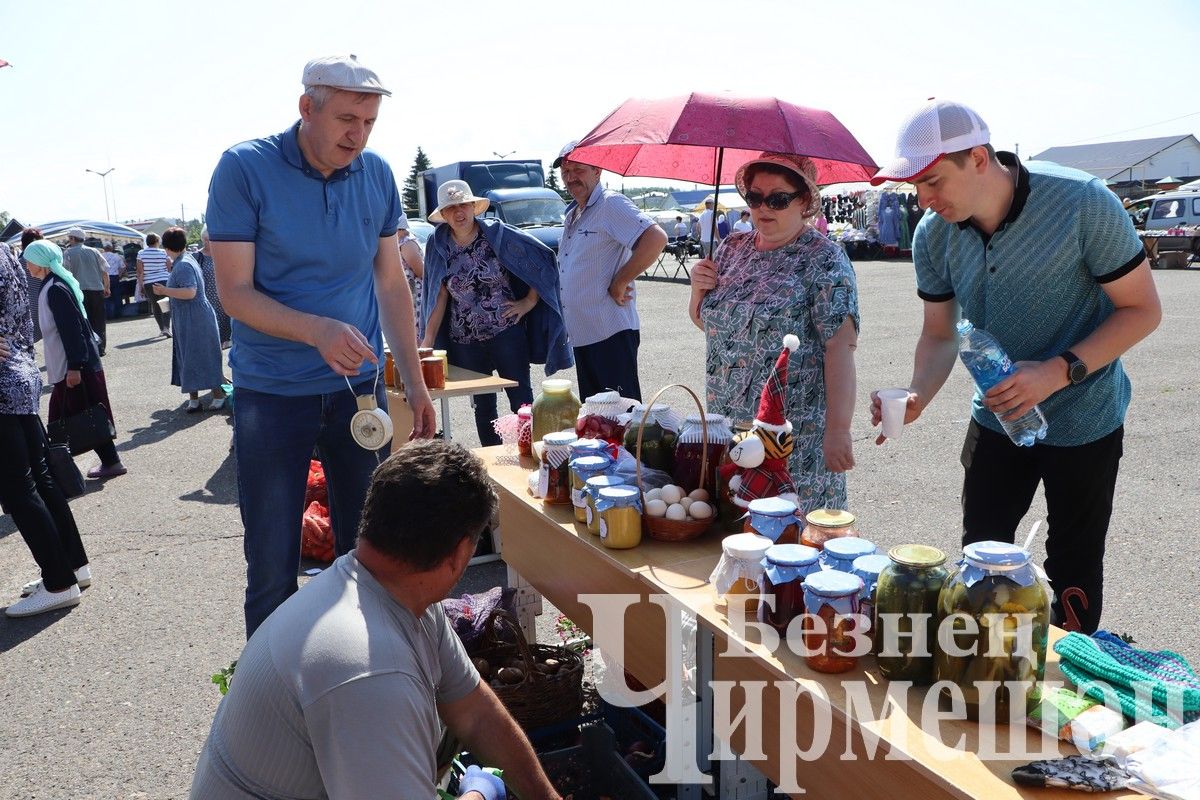 В Черемшане прошла четвертая ярмарка образовательных учреждений (ФОТОРЕПОРТАЖ)