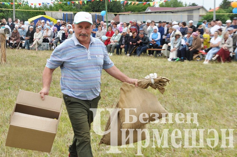 81 фотография с празднования Дня села в Лашманке