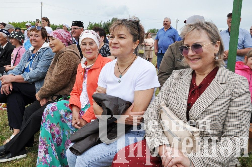 81 фотография с празднования Дня села в Лашманке