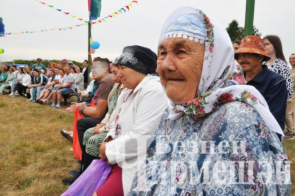 81 фотография с празднования Дня села в Лашманке