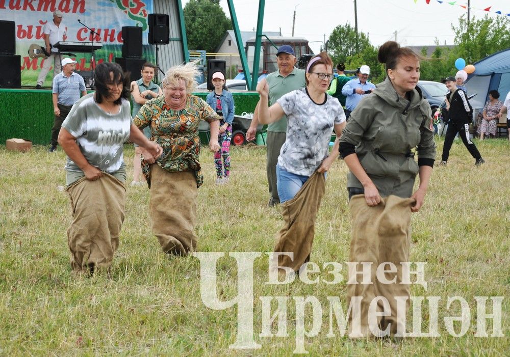 81 фотография с празднования Дня села в Лашманке