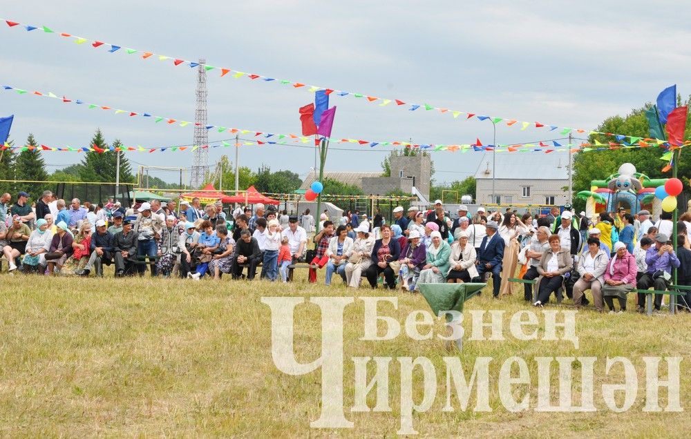 81 фотография с празднования Дня села в Лашманке