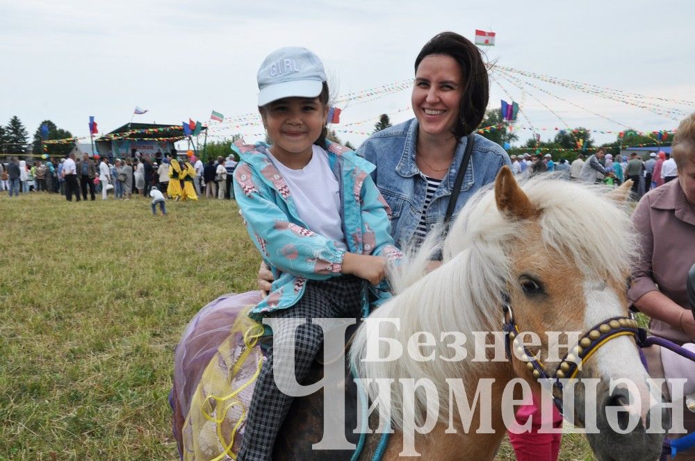 81 фотография с празднования Дня села в Лашманке