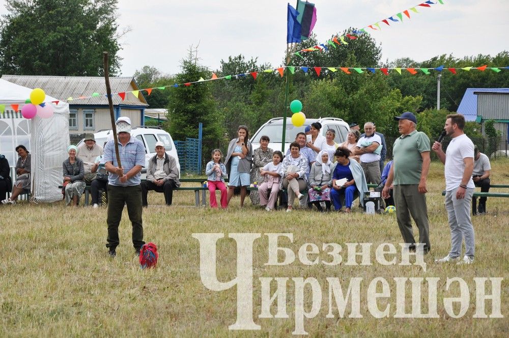 81 фотография с празднования Дня села в Лашманке