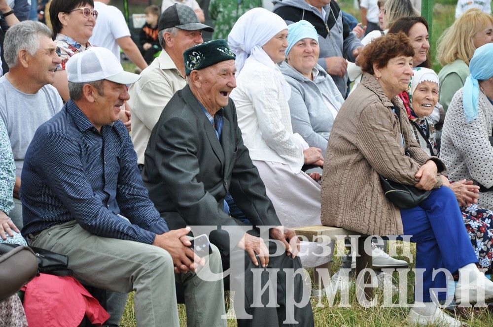 81 фотография с празднования Дня села в Лашманке