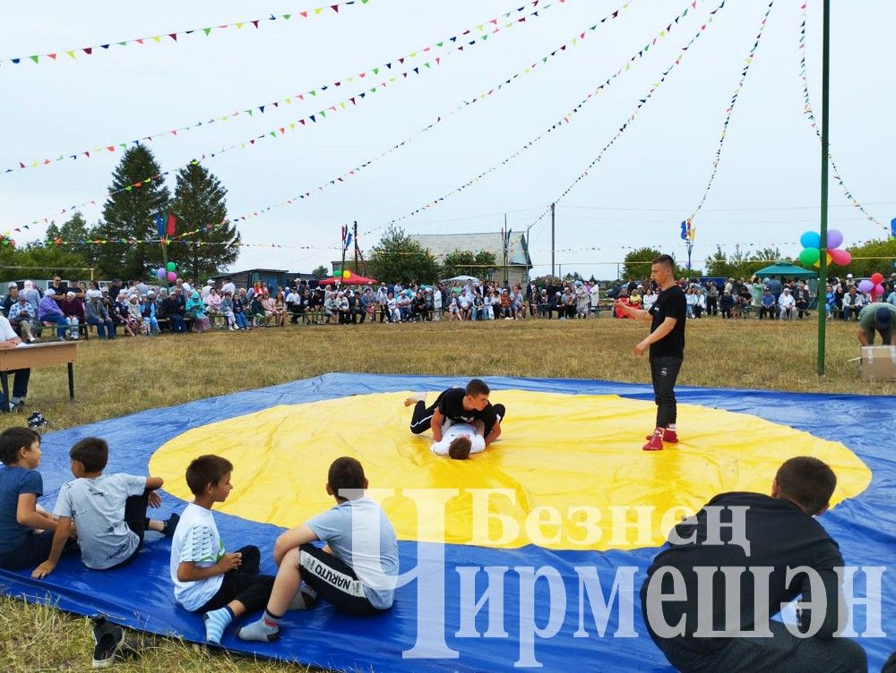 81 фотография с празднования Дня села в Лашманке