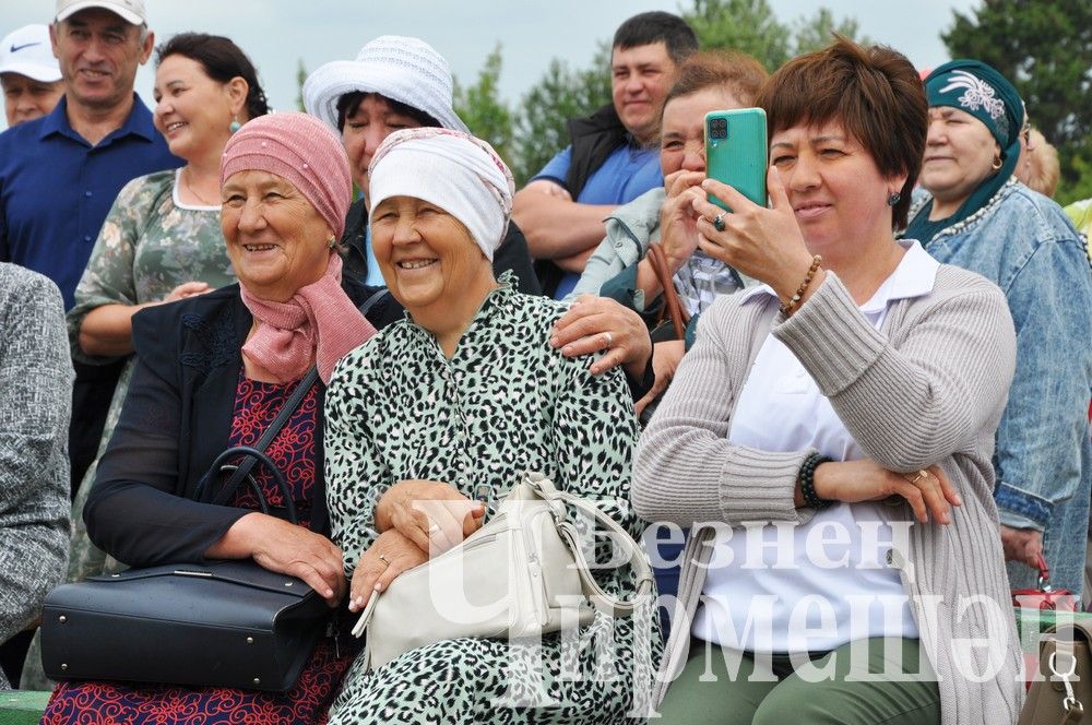 81 фотография с празднования Дня села в Лашманке