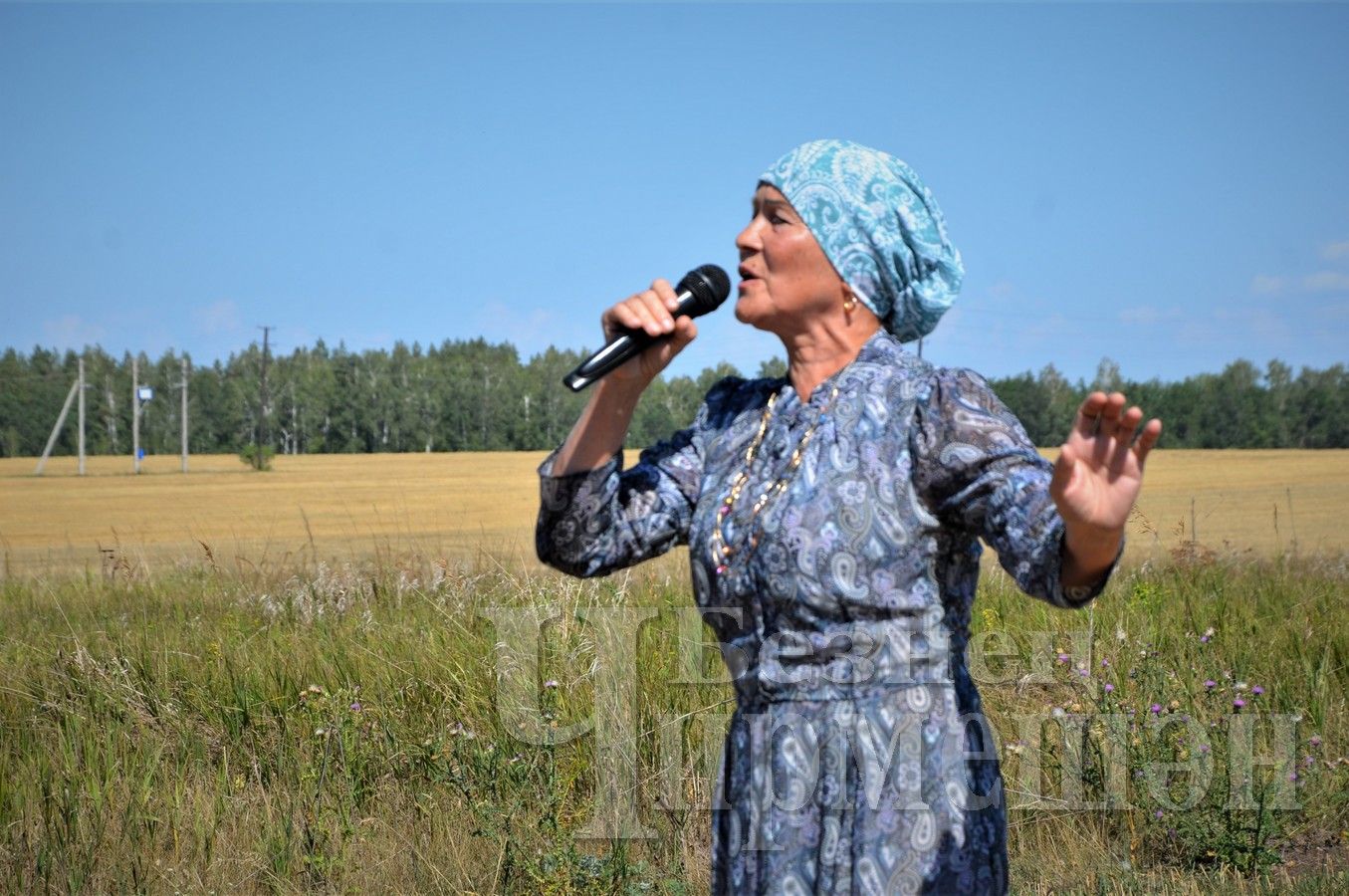 В Черемшане агитбригада вышла в поле (ФОТОРЕПОРТАЖ)