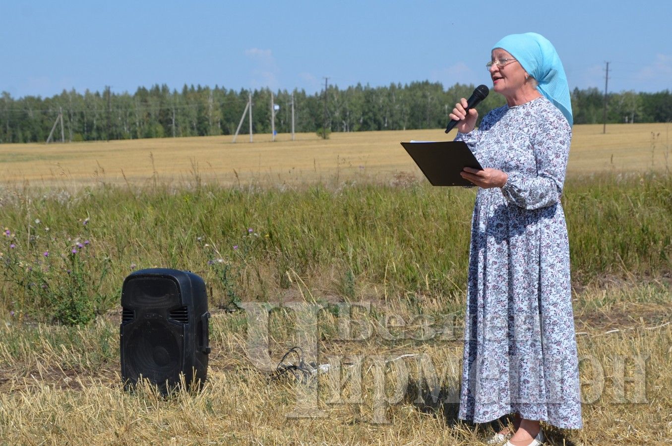 В Черемшане агитбригада вышла в поле (ФОТОРЕПОРТАЖ)