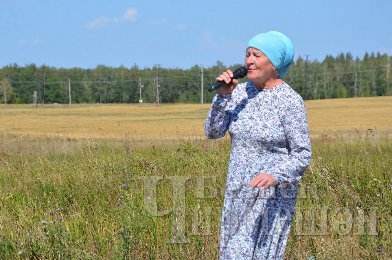 В Черемшане агитбригада вышла в поле (ФОТОРЕПОРТАЖ)