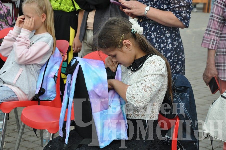 В Черемшане прошла акция "Помоги собраться в школу!" (ФОТОРЕПОРТАЖ)