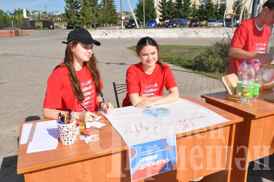 В Черемшане прошла акция "Помоги собраться в школу!" (ФОТОРЕПОРТАЖ)