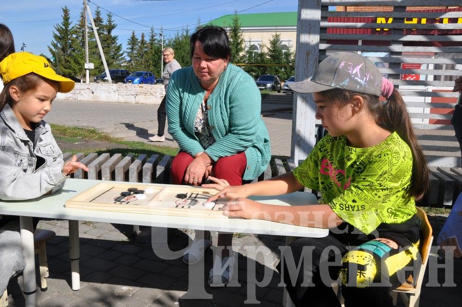 В Черемшане прошла акция "Помоги собраться в школу!" (ФОТОРЕПОРТАЖ)