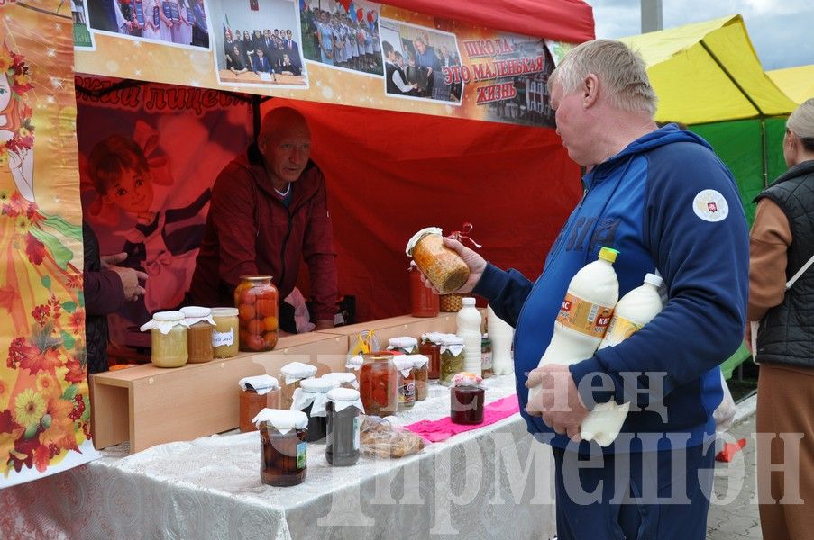 В Черемшане учительская конференция началась с ярмарки добра (ФОТОРЕПОРТАЖ)