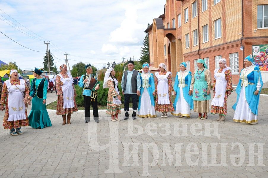 В Черемшане учительская конференция началась с ярмарки добра (ФОТОРЕПОРТАЖ)