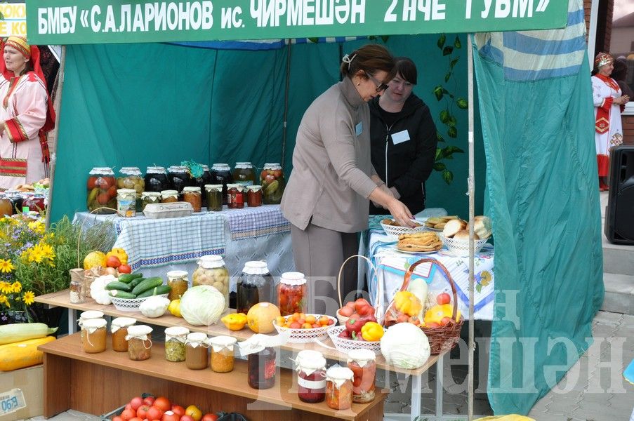 В Черемшане учительская конференция началась с ярмарки добра (ФОТОРЕПОРТАЖ)