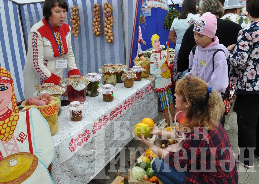 В Черемшане учительская конференция началась с ярмарки добра (ФОТОРЕПОРТАЖ)