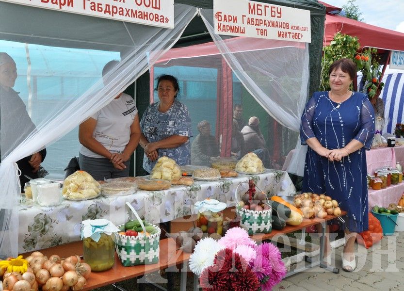 В Черемшане учительская конференция началась с ярмарки добра (ФОТОРЕПОРТАЖ)