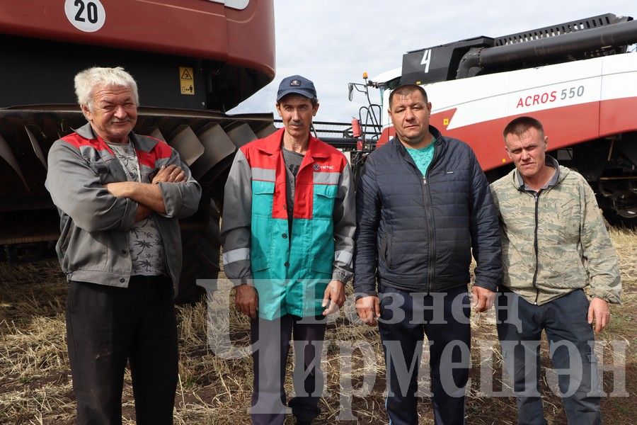 В Черемшанском районе чествовали передовиков жатвы (ФОТОРЕПОРТАЖ)