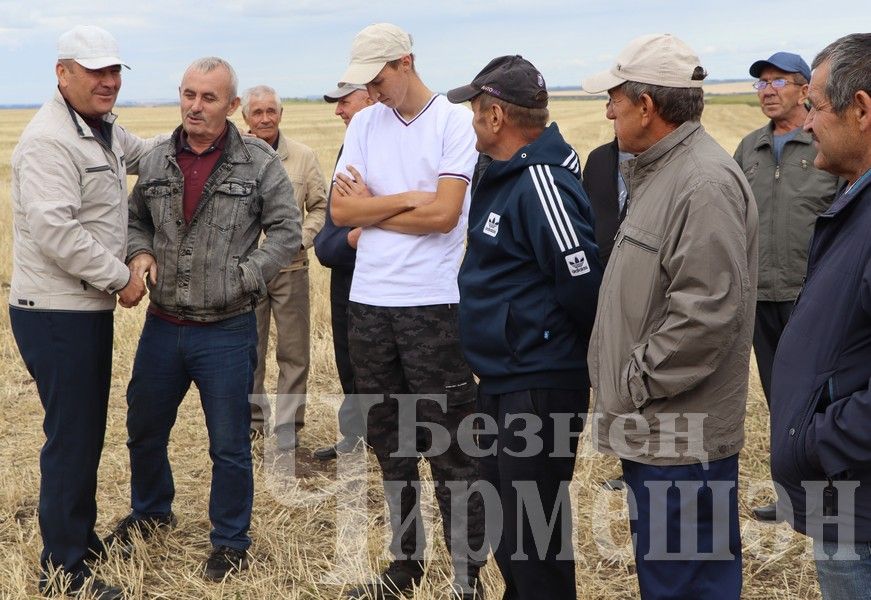 В Черемшанском районе чествовали передовиков жатвы (ФОТОРЕПОРТАЖ)