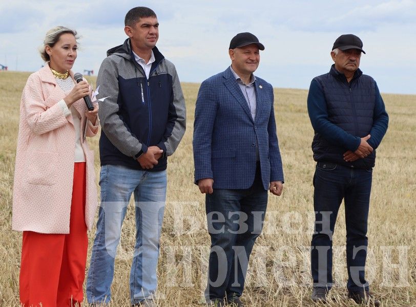 В Черемшанском районе чествовали передовиков жатвы (ФОТОРЕПОРТАЖ)