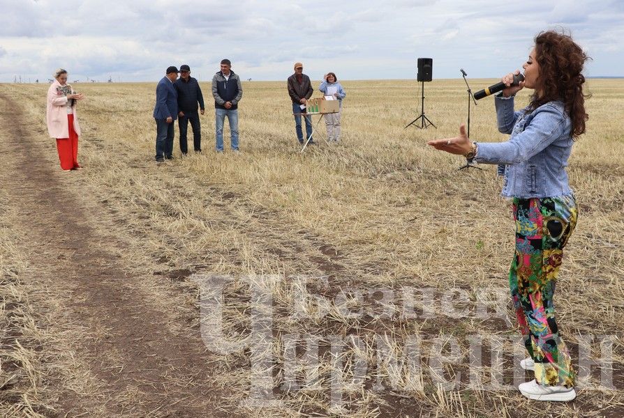 В Черемшанском районе чествовали передовиков жатвы (ФОТОРЕПОРТАЖ)