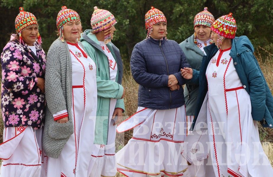 В Черемшанском районе чествовали передовиков жатвы (ФОТОРЕПОРТАЖ)