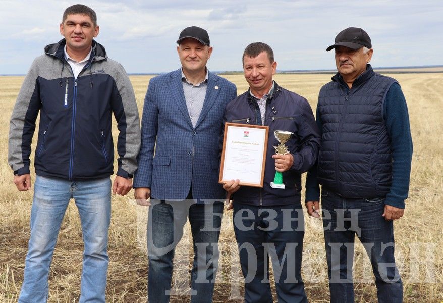 В Черемшанском районе чествовали передовиков жатвы (ФОТОРЕПОРТАЖ)