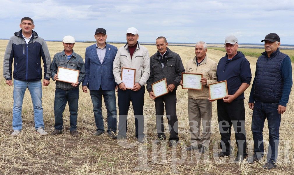 В Черемшанском районе чествовали передовиков жатвы (ФОТОРЕПОРТАЖ)