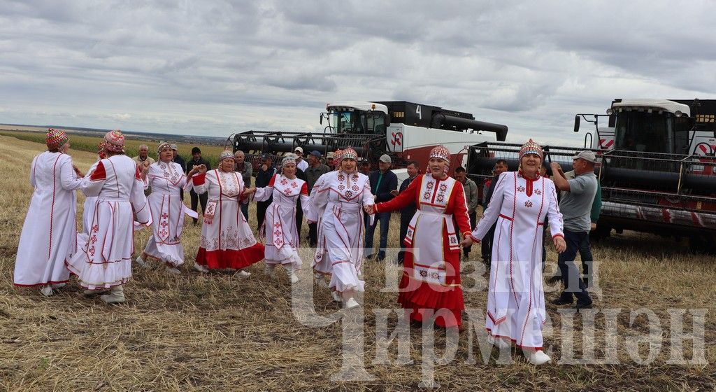 В Черемшанском районе чествовали передовиков жатвы (ФОТОРЕПОРТАЖ)