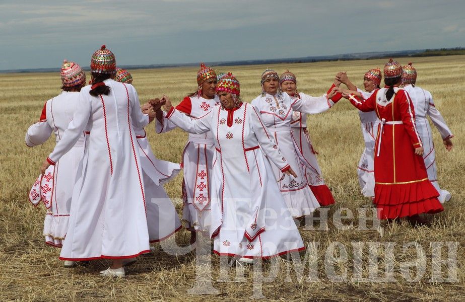 В Черемшанском районе чествовали передовиков жатвы (ФОТОРЕПОРТАЖ)