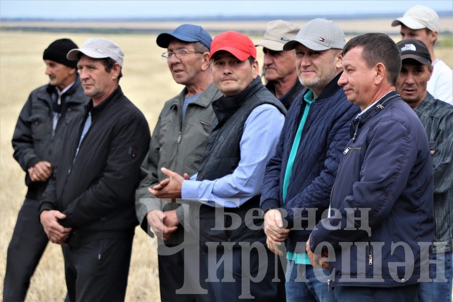 В Черемшанском районе чествовали передовиков жатвы (ФОТОРЕПОРТАЖ)