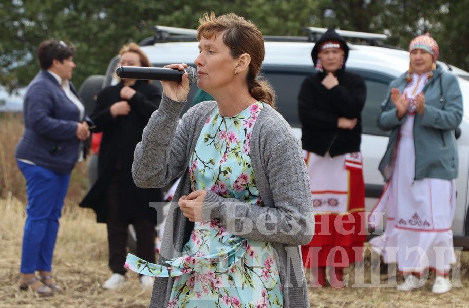 В Черемшанском районе чествовали передовиков жатвы (ФОТОРЕПОРТАЖ)