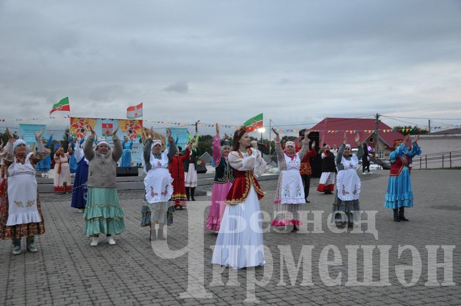 В Черемшане отметили  День Республики (ФОТОРЕПОРТАЖ)