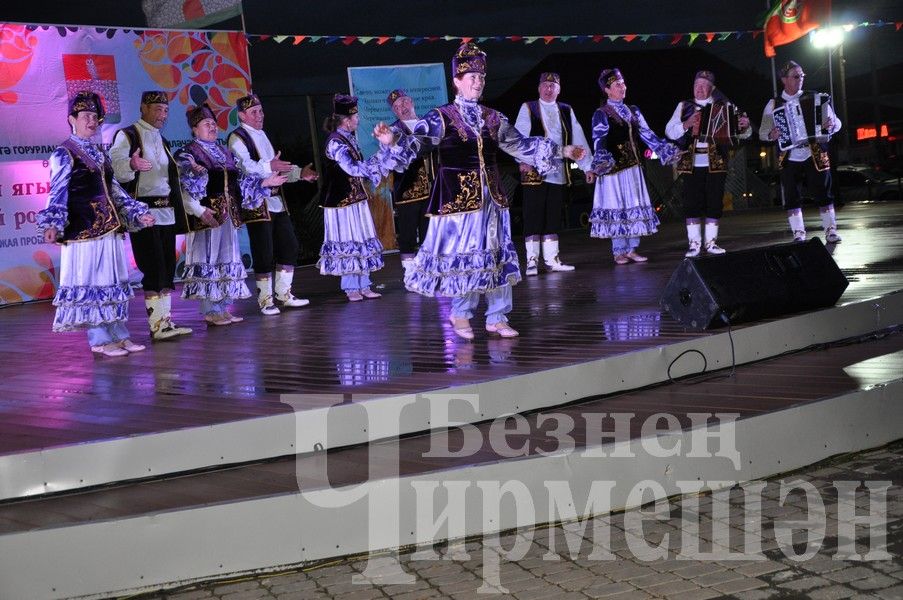 В Черемшане отметили  День Республики (ФОТОРЕПОРТАЖ)