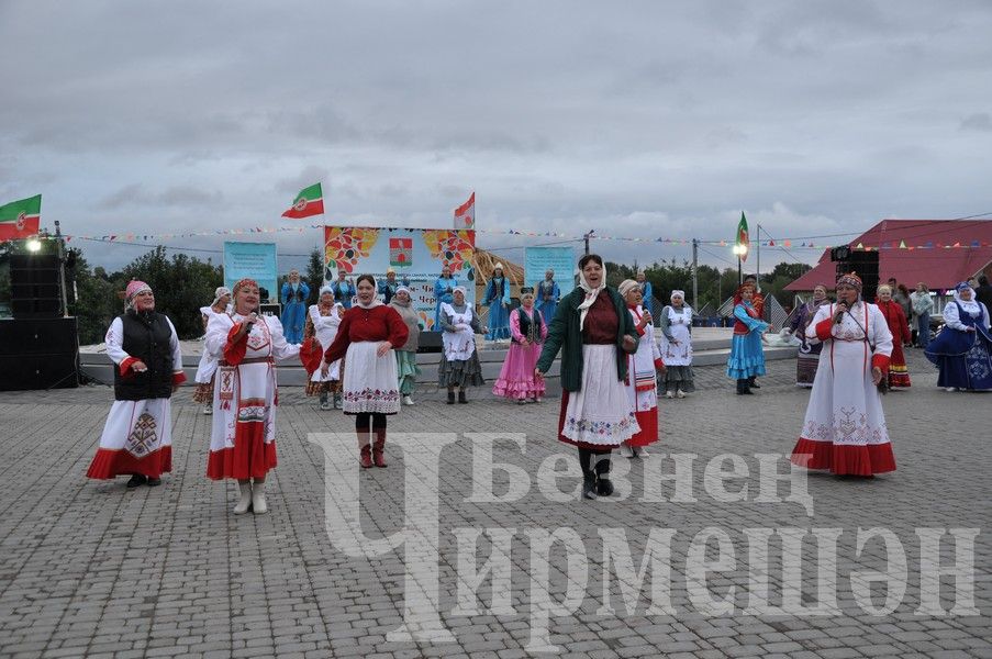 В Черемшане отметили  День Республики (ФОТОРЕПОРТАЖ)