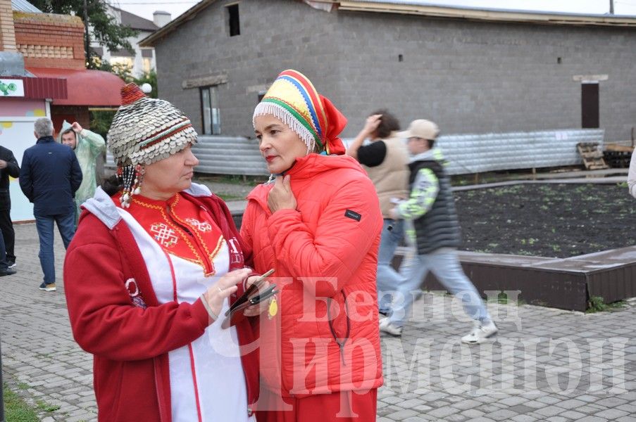 В Черемшане отметили  День Республики (ФОТОРЕПОРТАЖ)