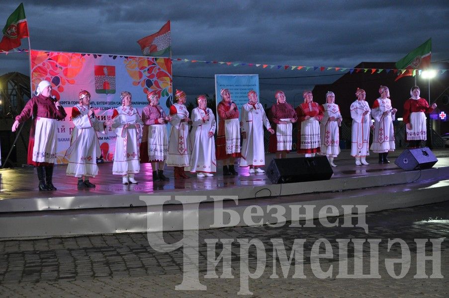 В Черемшане отметили  День Республики (ФОТОРЕПОРТАЖ)