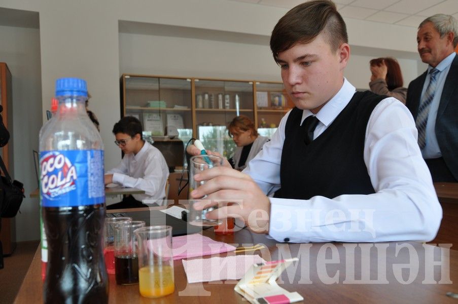 В Новоильмовской школе открылись кабинеты центра "Точка роста" (ФОТОРЕПОРТАЖ)